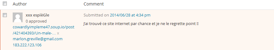 comment-spam1